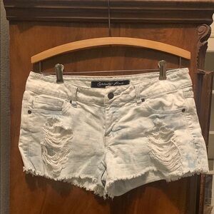Celebrity Pink Blue and White Jean Shorts with Edgy Distressed Style